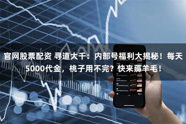 官网股票配资 寻道大千：内部号福利大揭秘！每天5000代金，桃子用不完？快来薅羊毛！
